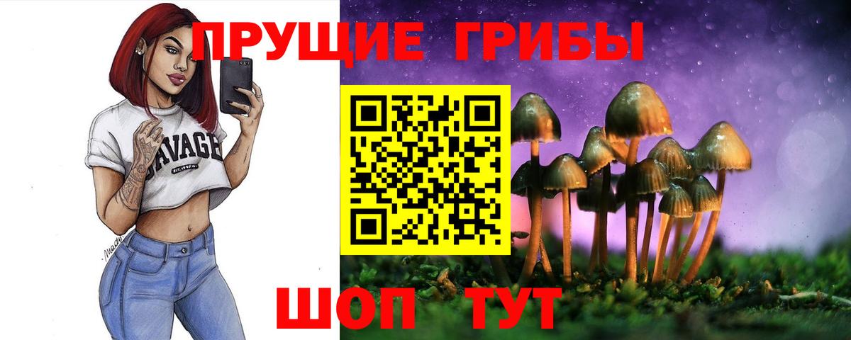 Галлюциногенные грибы прущие грибы Дзержинск